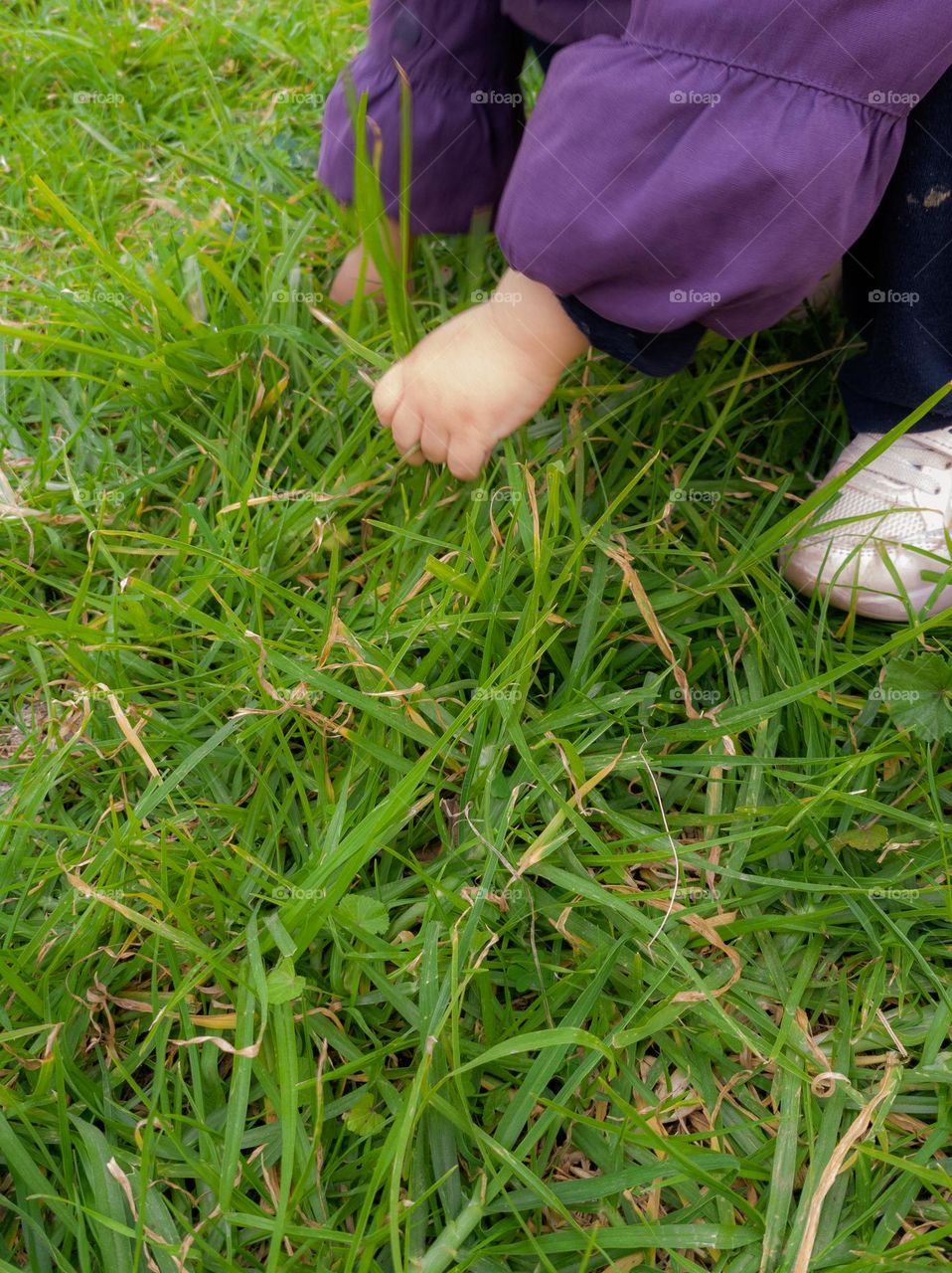 a child hand wearing purple coat and playing on the grass