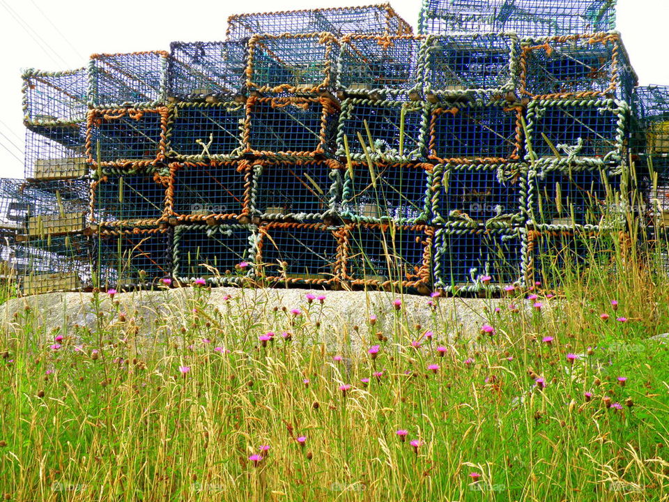 Let's go lobster fishing