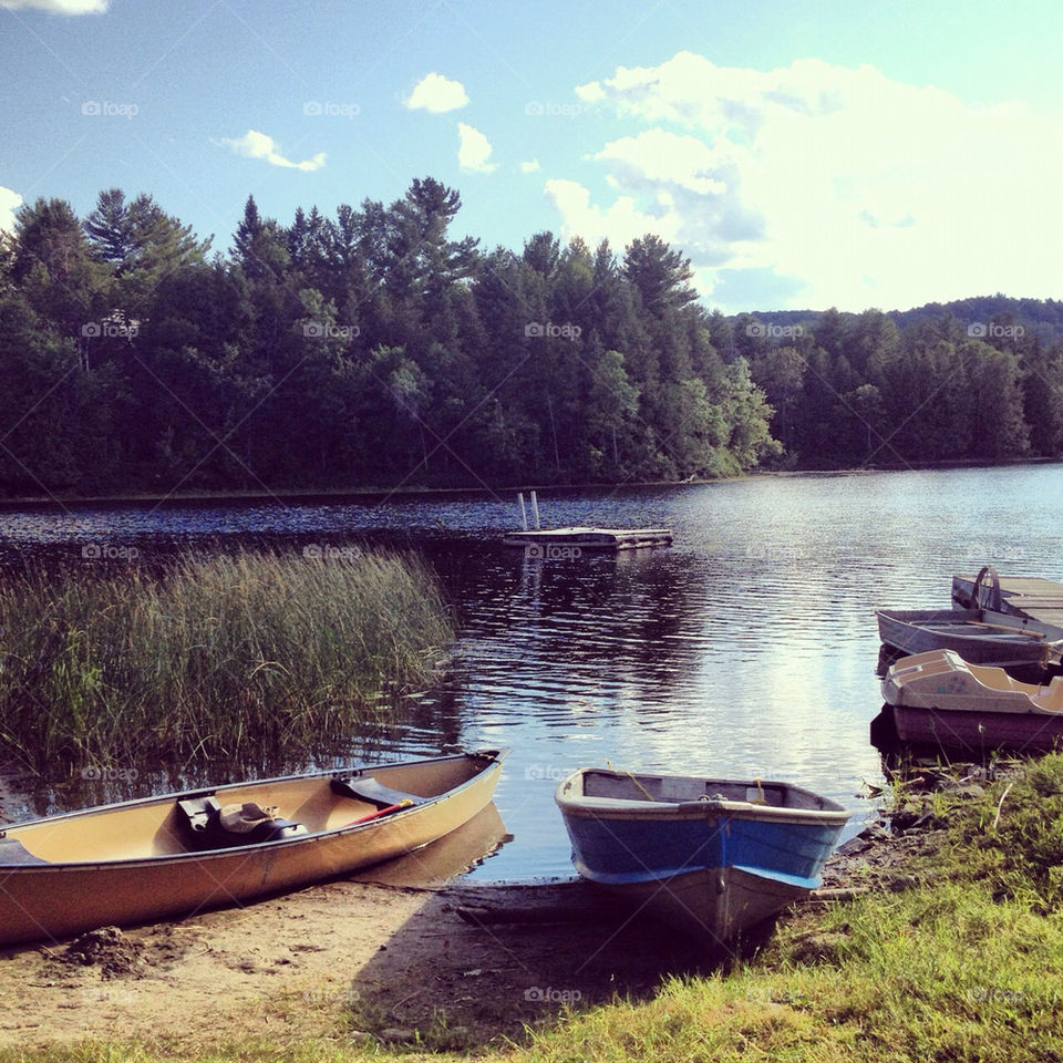 nature grass summer fun by mchlltrn