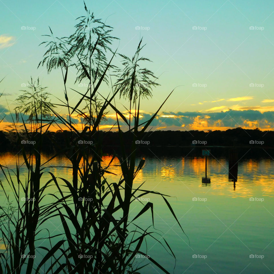 Sunset Shoreline!
An elegant sunset surrounding the bayou waterway is viewed from the shoreline!