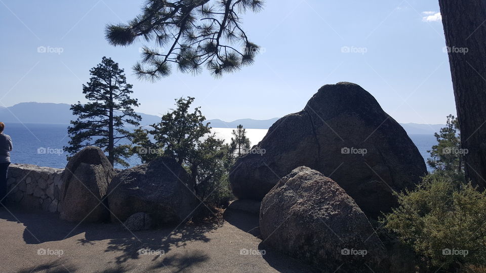 Rocks and Tree's in view of Lake Tahoe