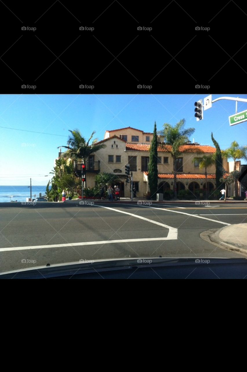 Laguna Beach, palm tree, street