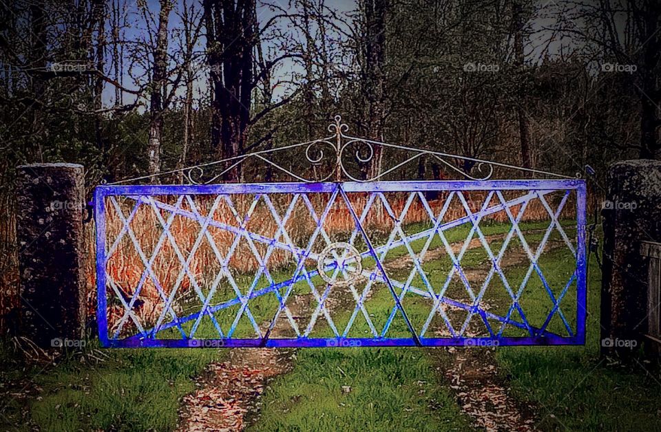 Blue old gate