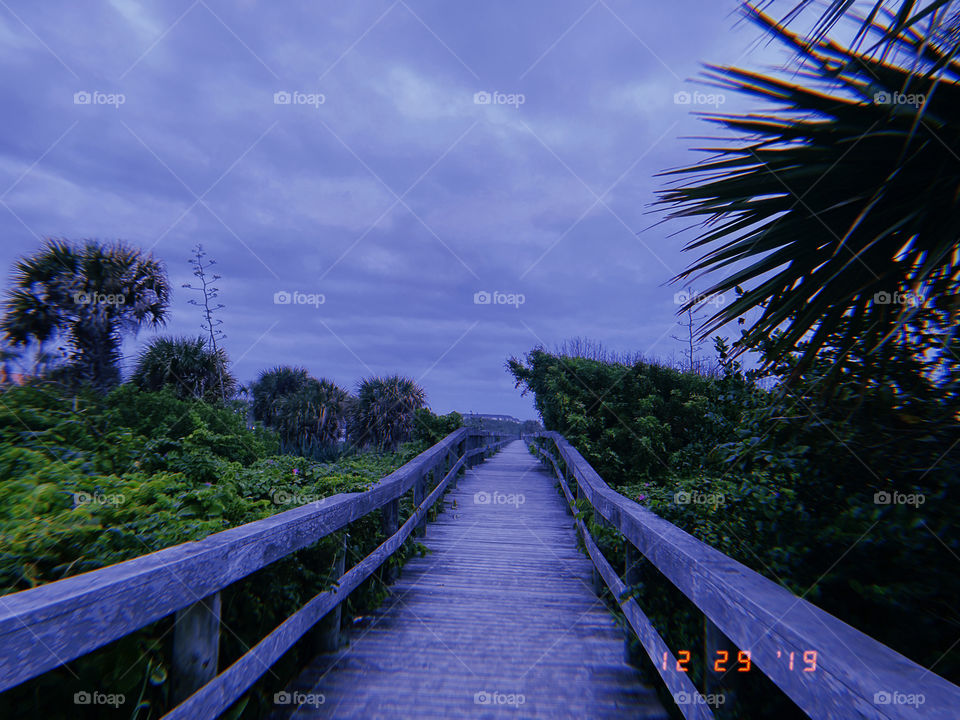 beautiful path towards Miami Beach, Florida