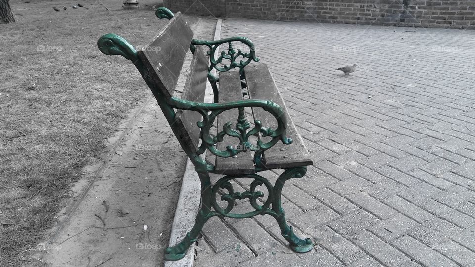 Solitary bench in the square