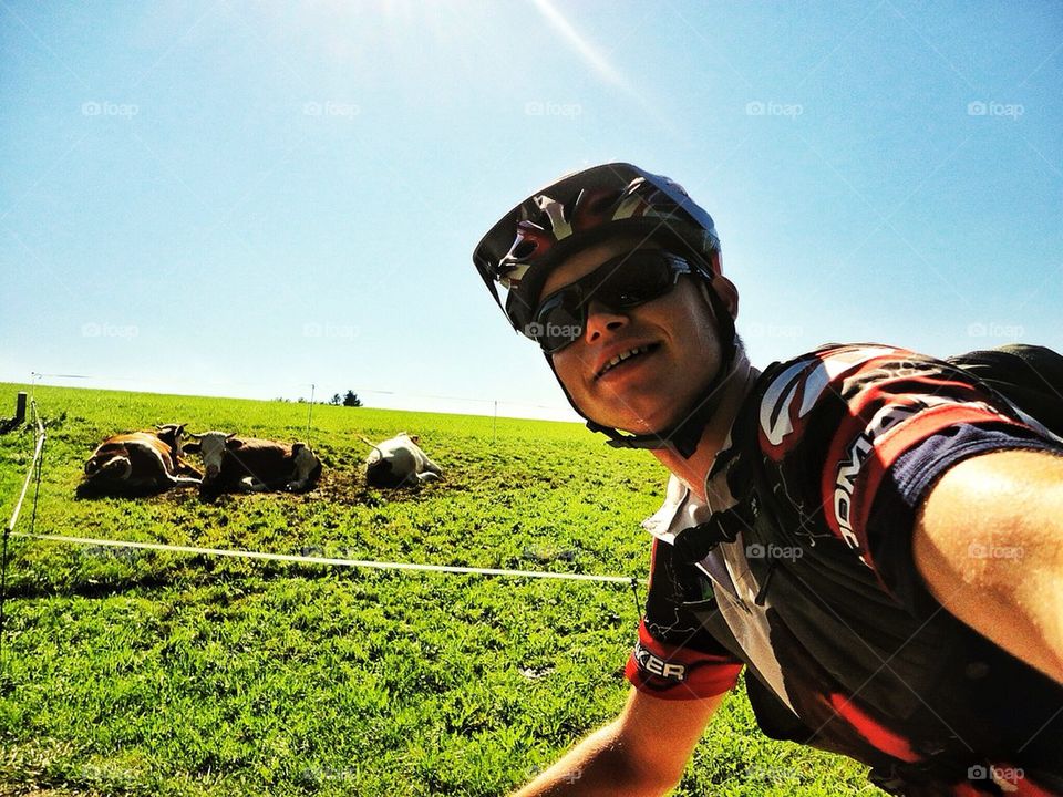 selfie with cows