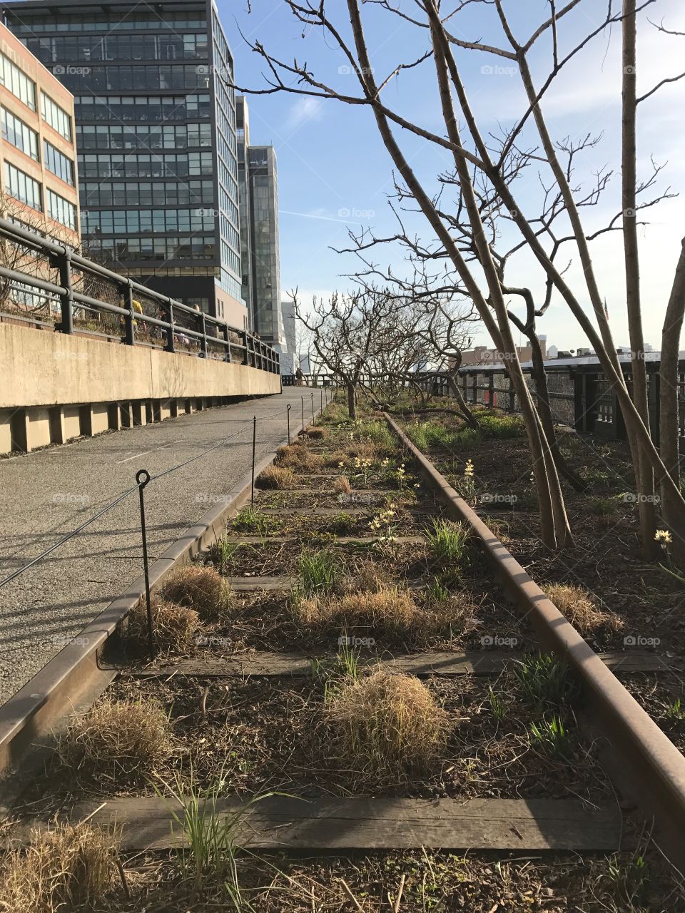 High Line, train tracks 