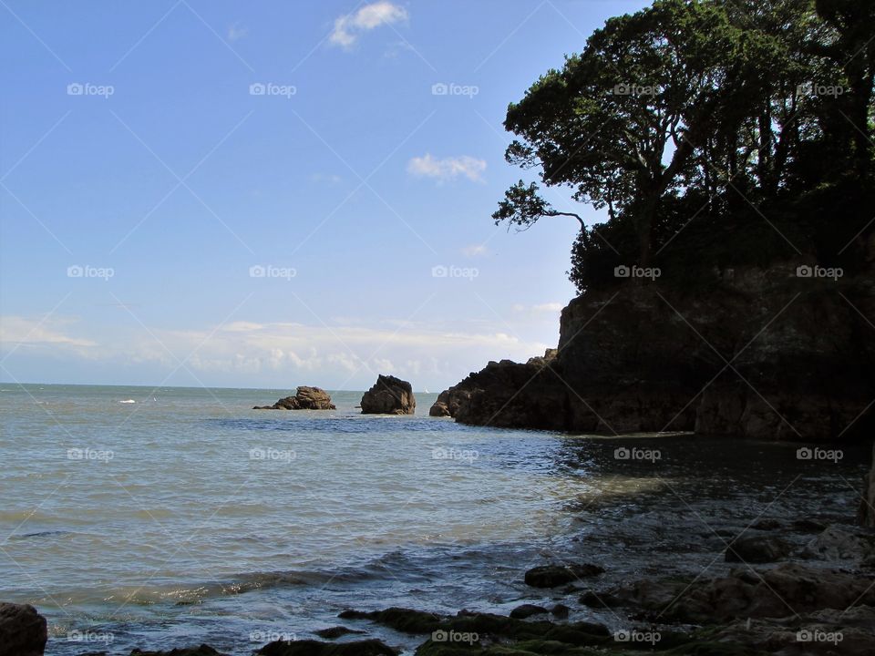 South Devon coast