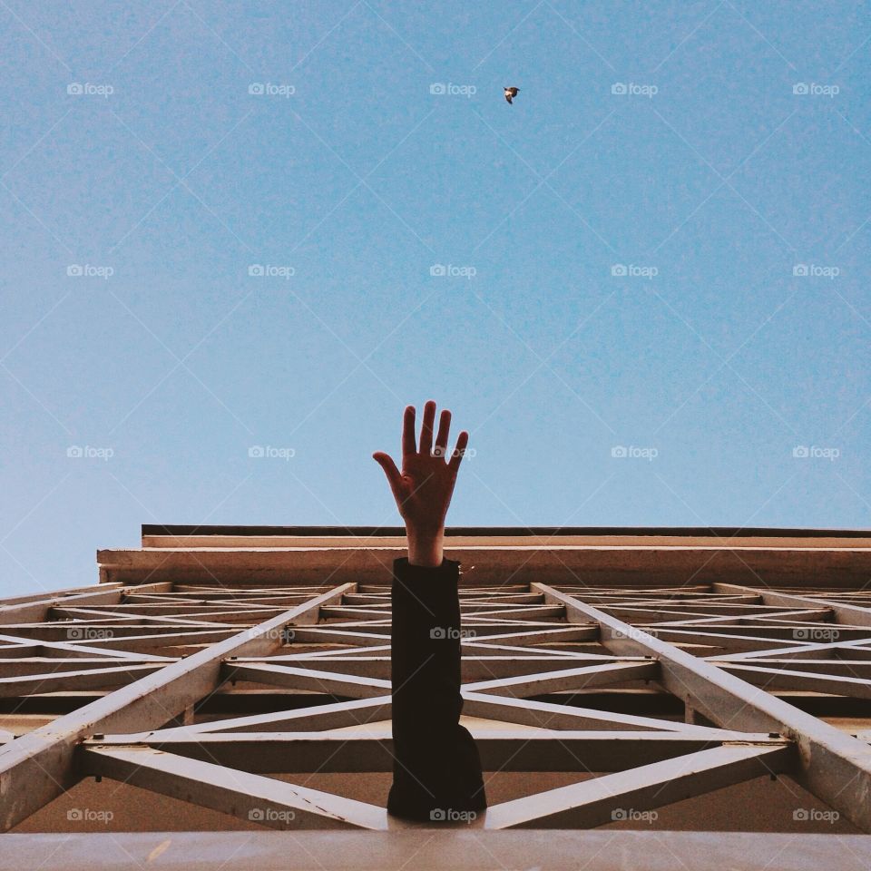 Low angle view of person hand