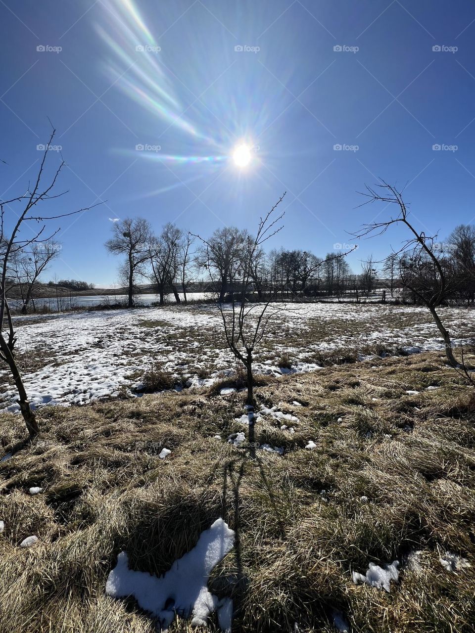 Magical moment of time when winter and spring live nearby, the sun is cold but gold and bright, the air is cold, but fresh and inspiring