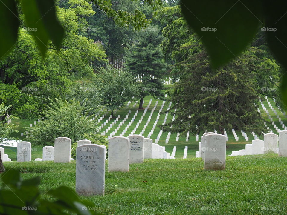 Arlington cemetery for the deceased