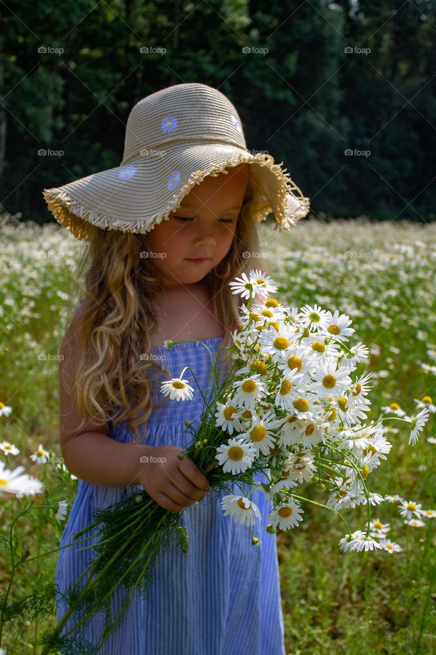 loves me -loves me not .Loves me -loves me not .
Counting daisys at countryside a late spring day