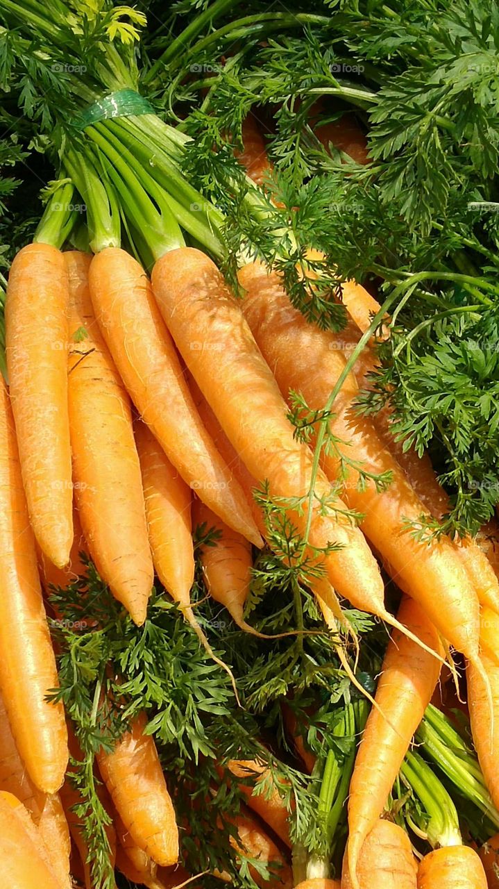Tasty carrots for the kitchen