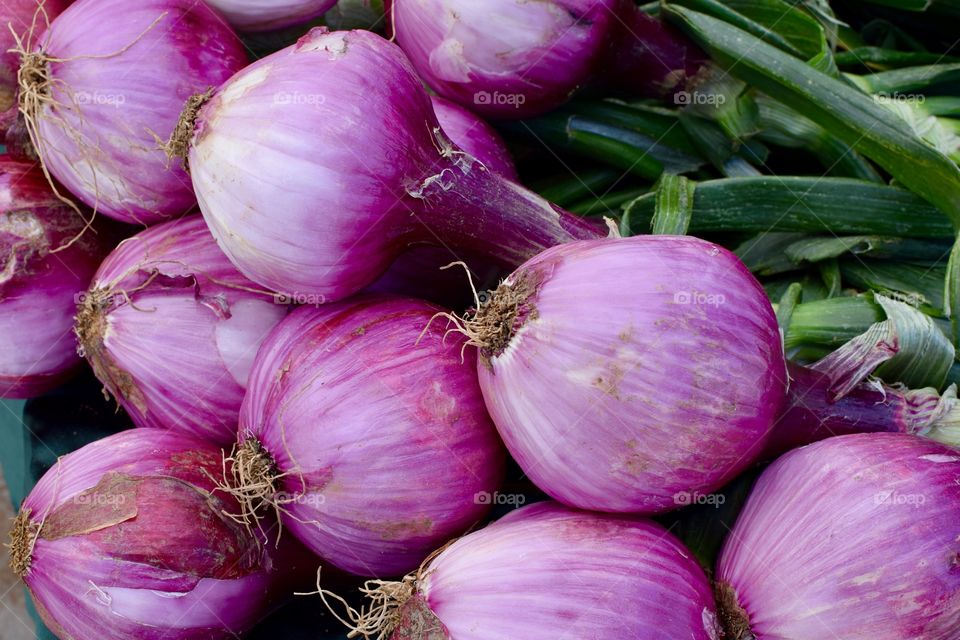 Fresh Organic Red Onions from the local Farmers Market grown on nearby farms