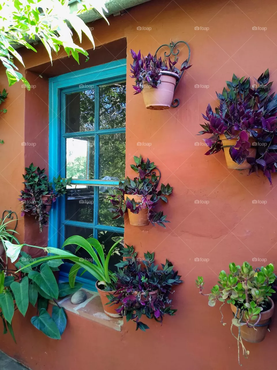 Ventana