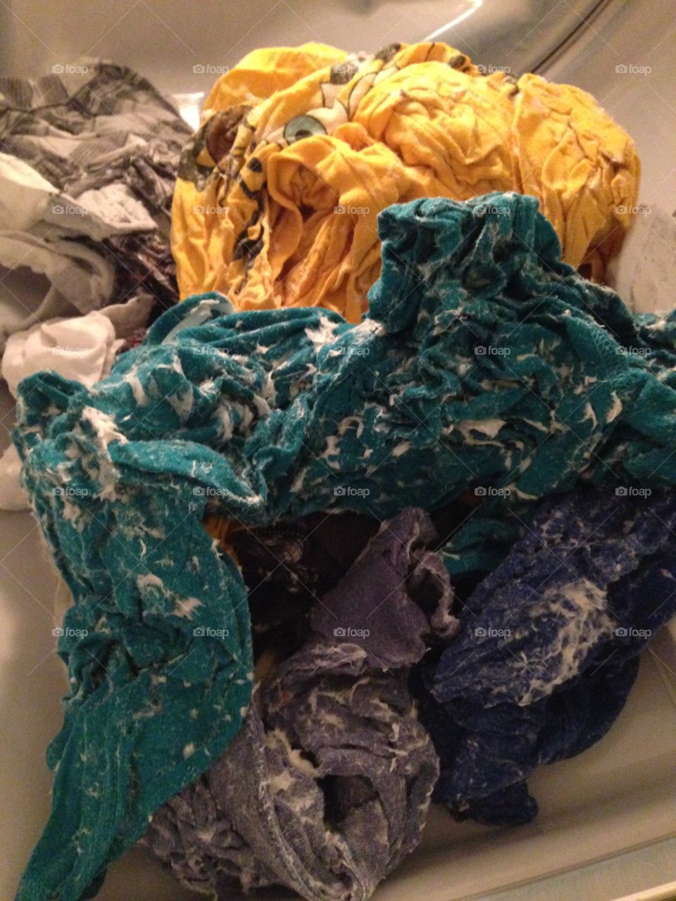 WARNING:  Don't try this at home! This is the aftermath of a roll of toilet paper getting tossed in with a load of laundry.