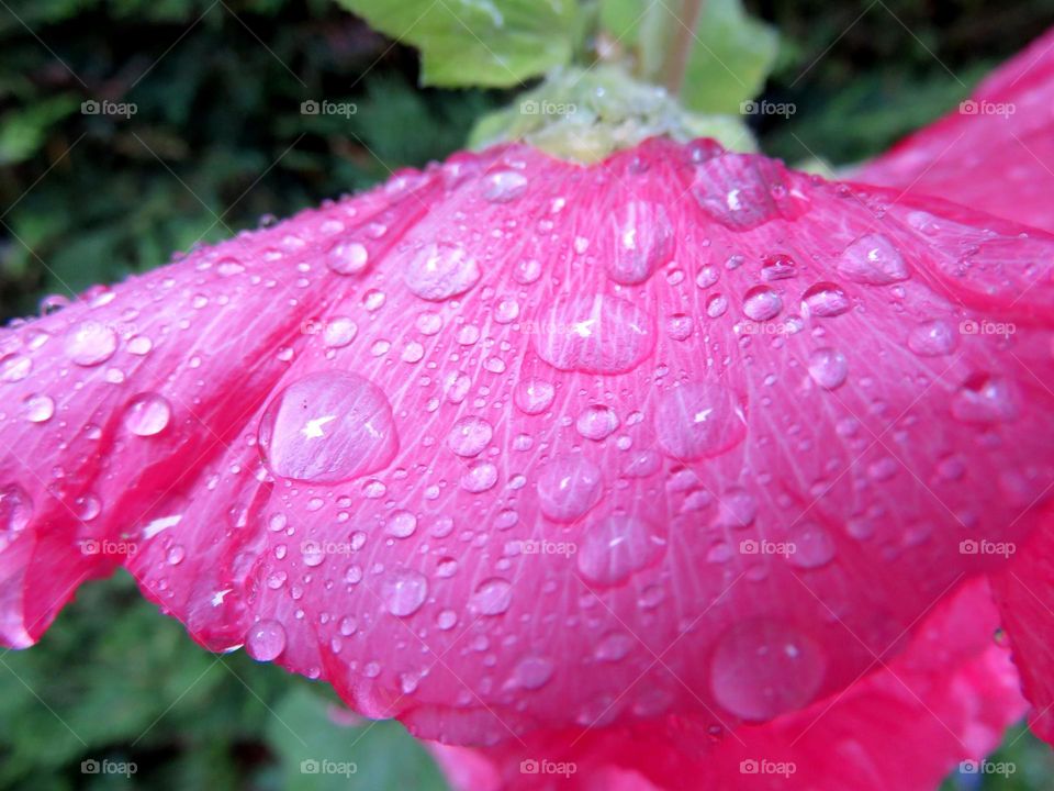 rainy day. Merci