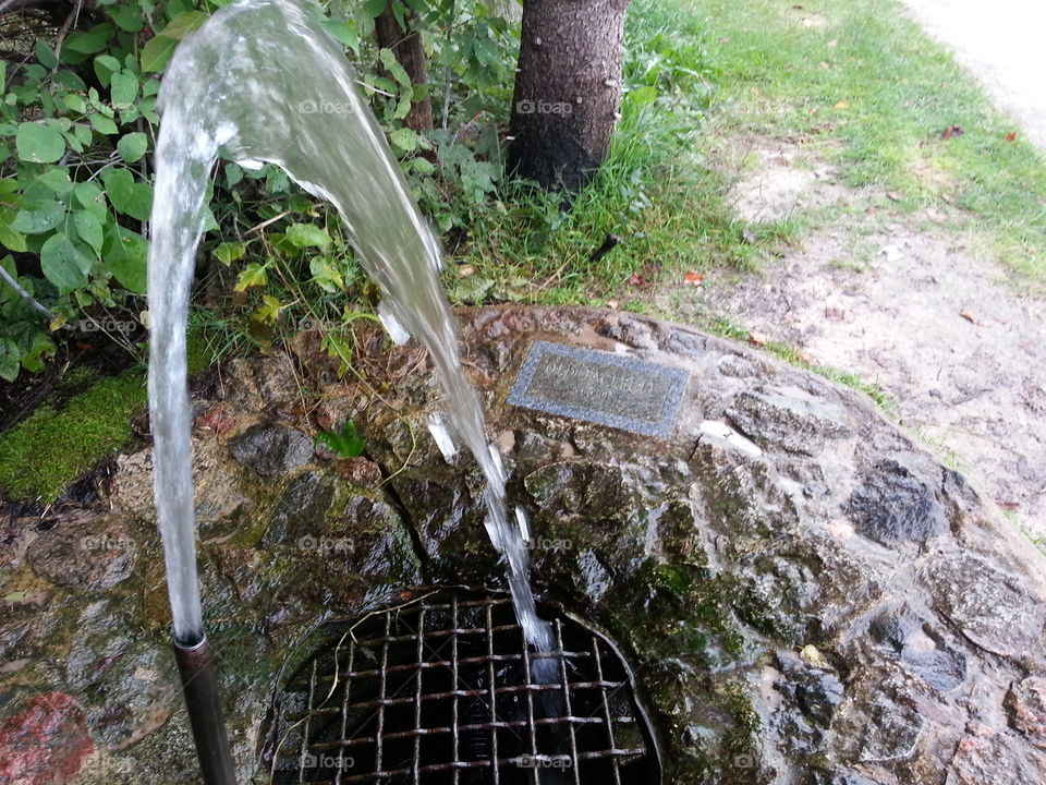 Old Face-full, right up the nose!