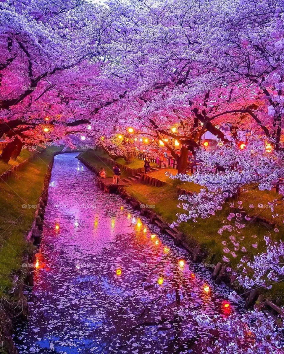 shiny color tree