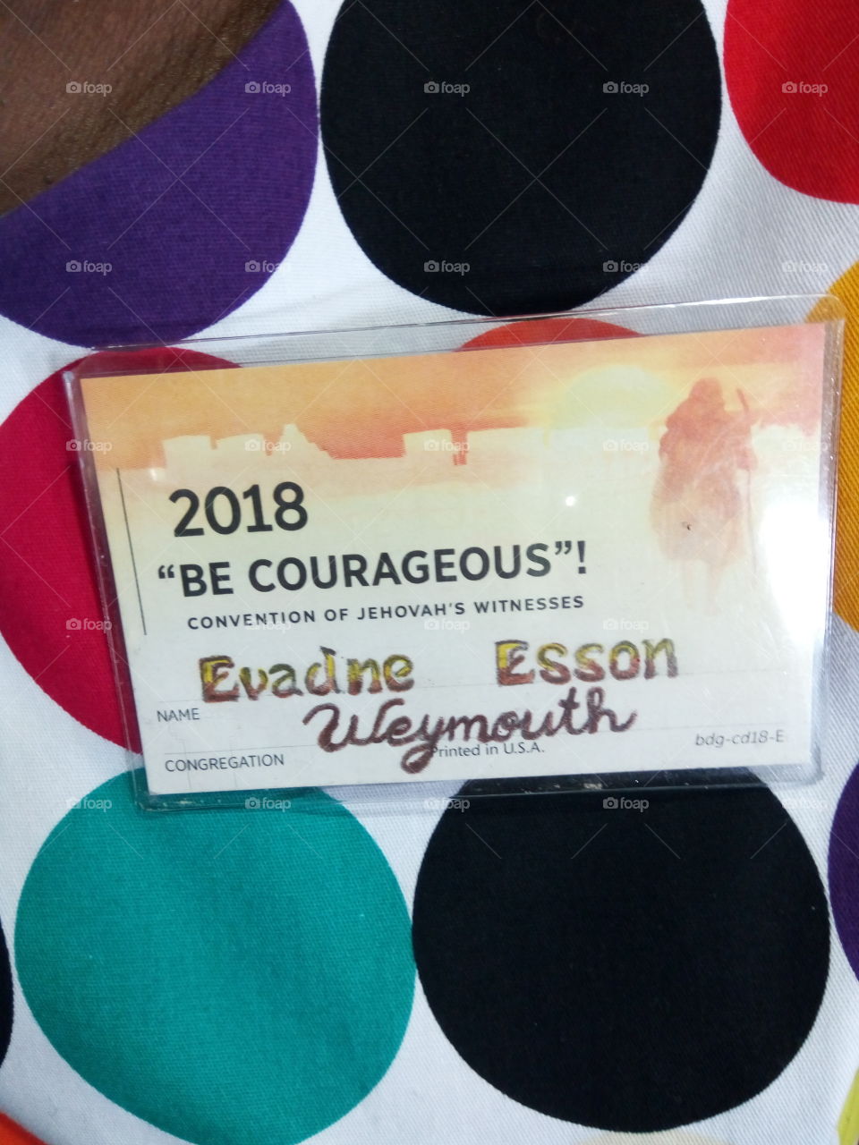 convention  Delegate  badge