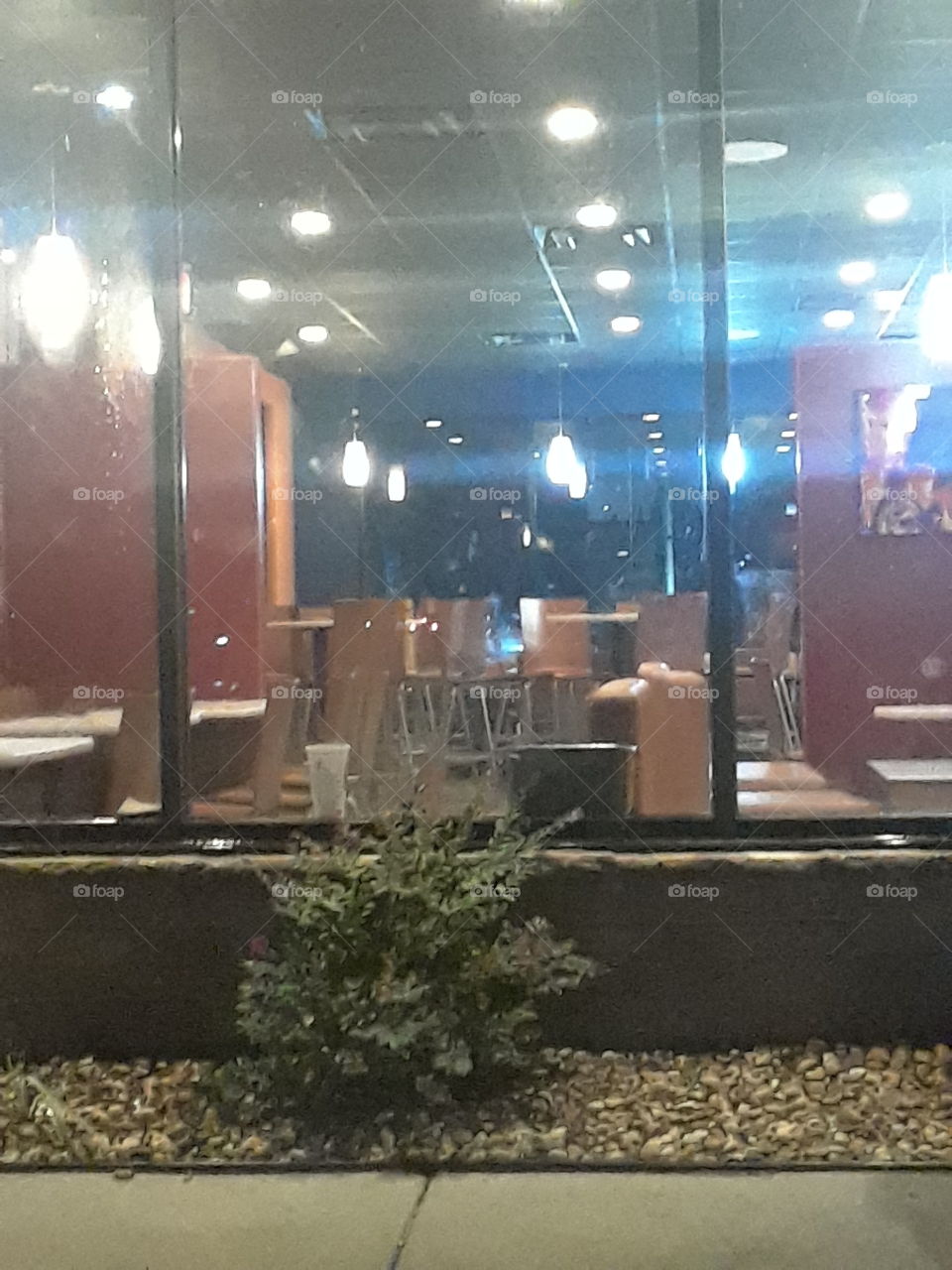 empty taco bell at night