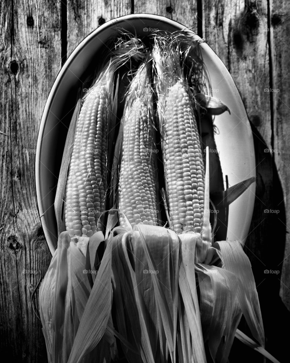 Ears of corn in black and white 
