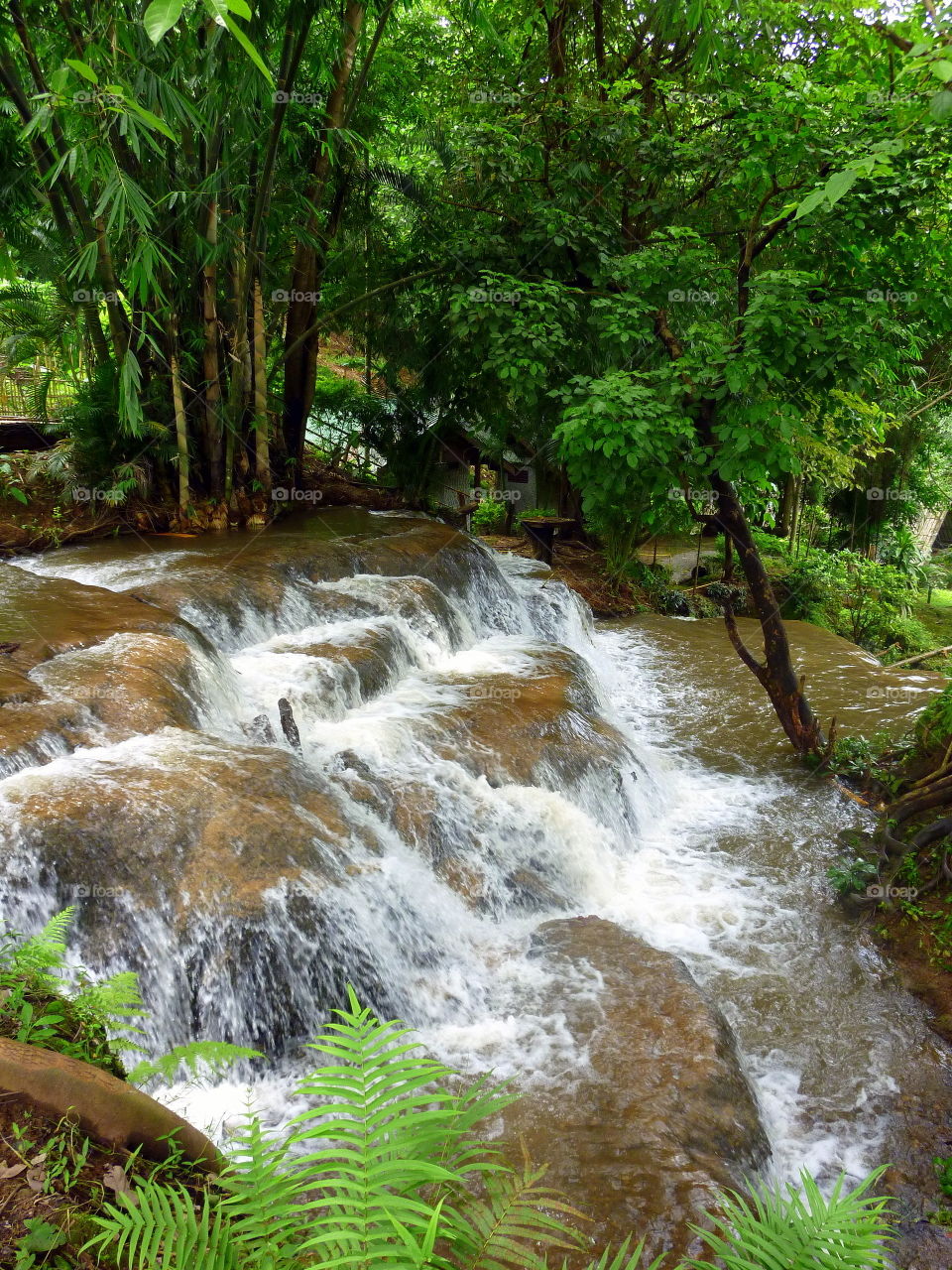 water flowing over the rocks in the wood