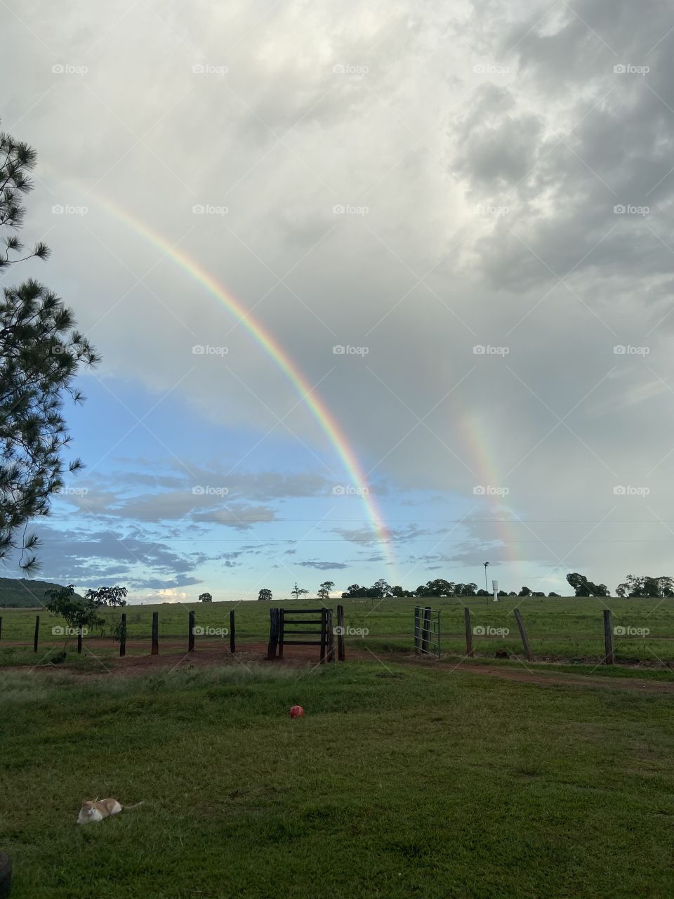 Arco íris 