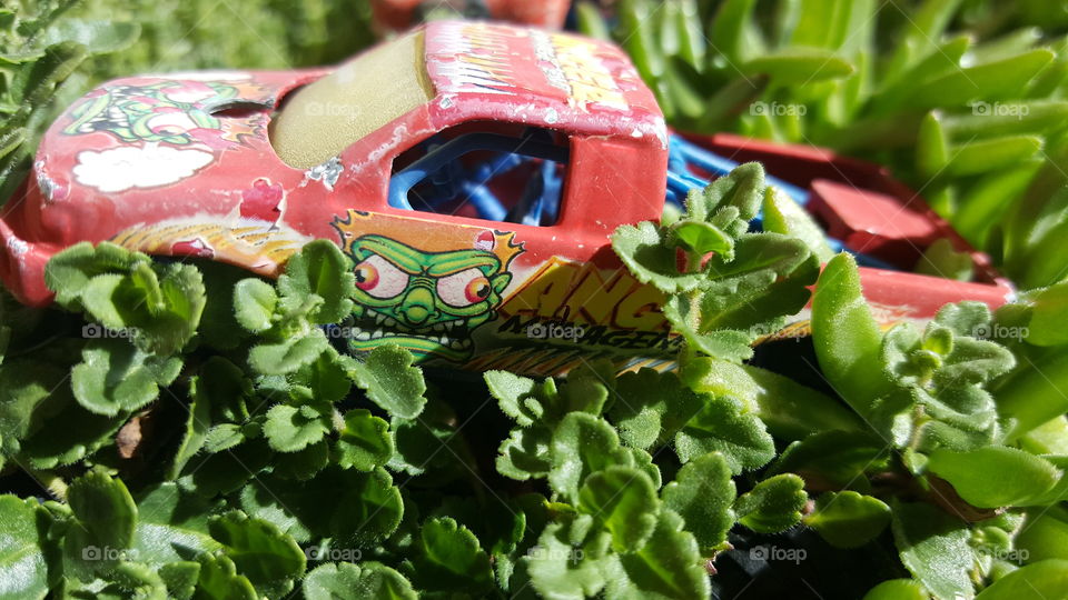 Toy truck in garden plants