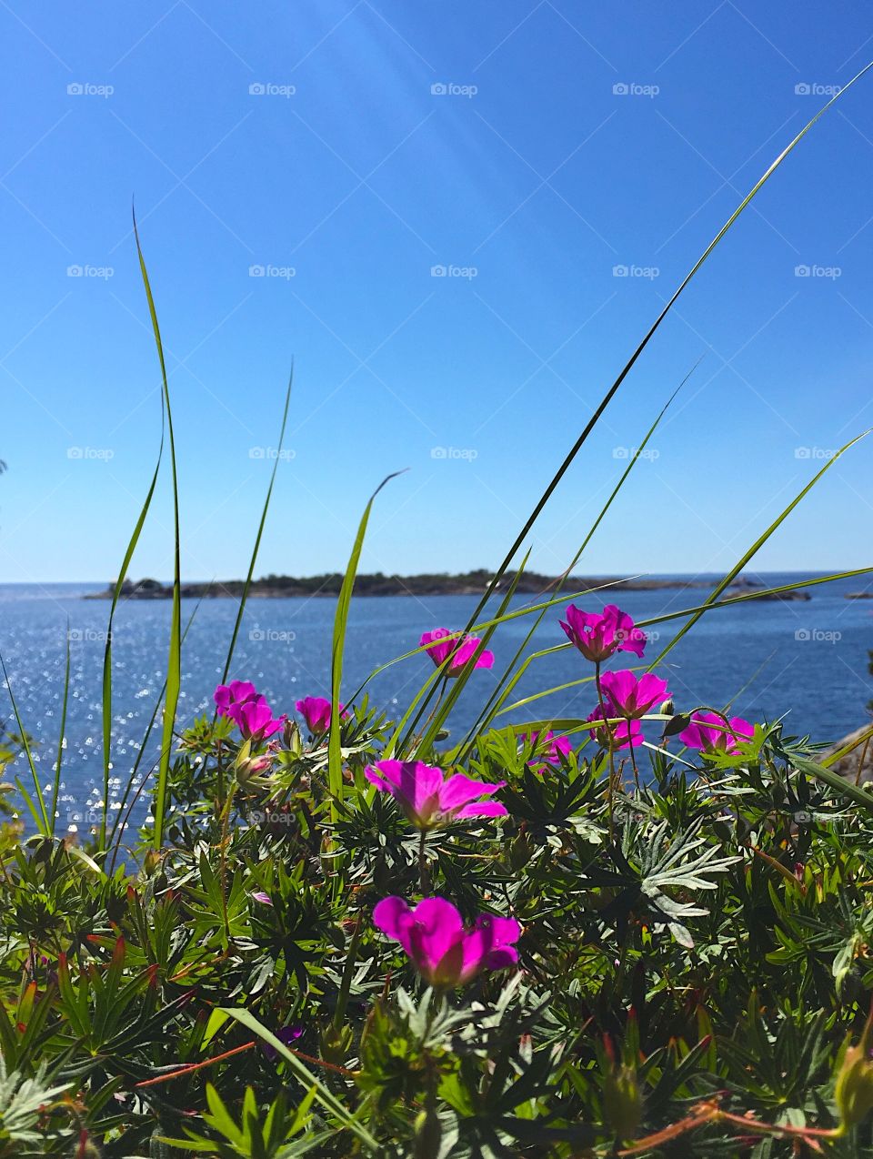 Stangholmen, Risør, Norway. The wiew from a path alongside the ocean