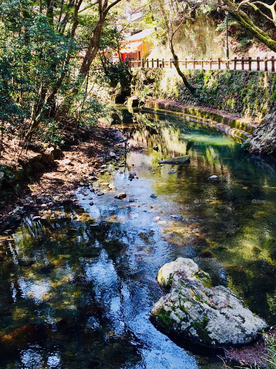 spring is almost there