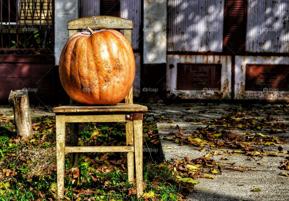 pumpkin on chair