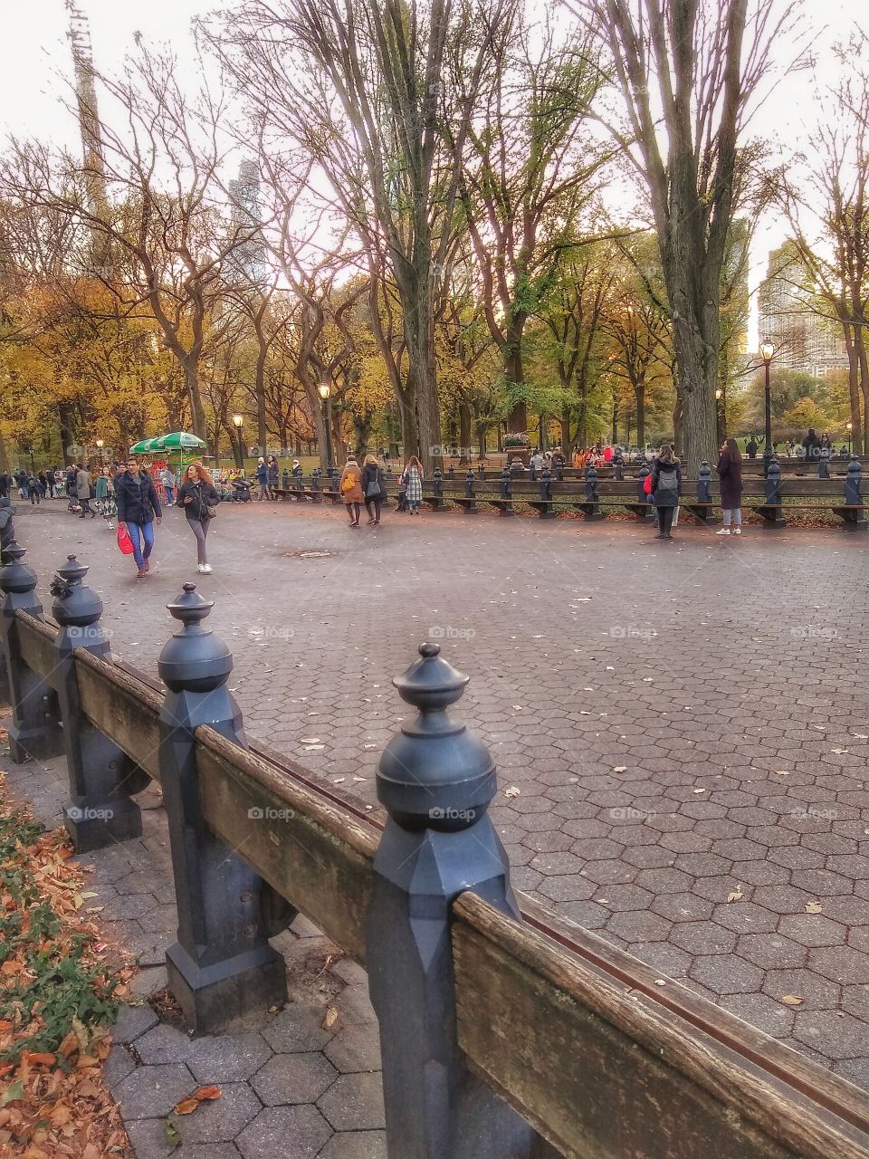 Central Park in autumn, New York City