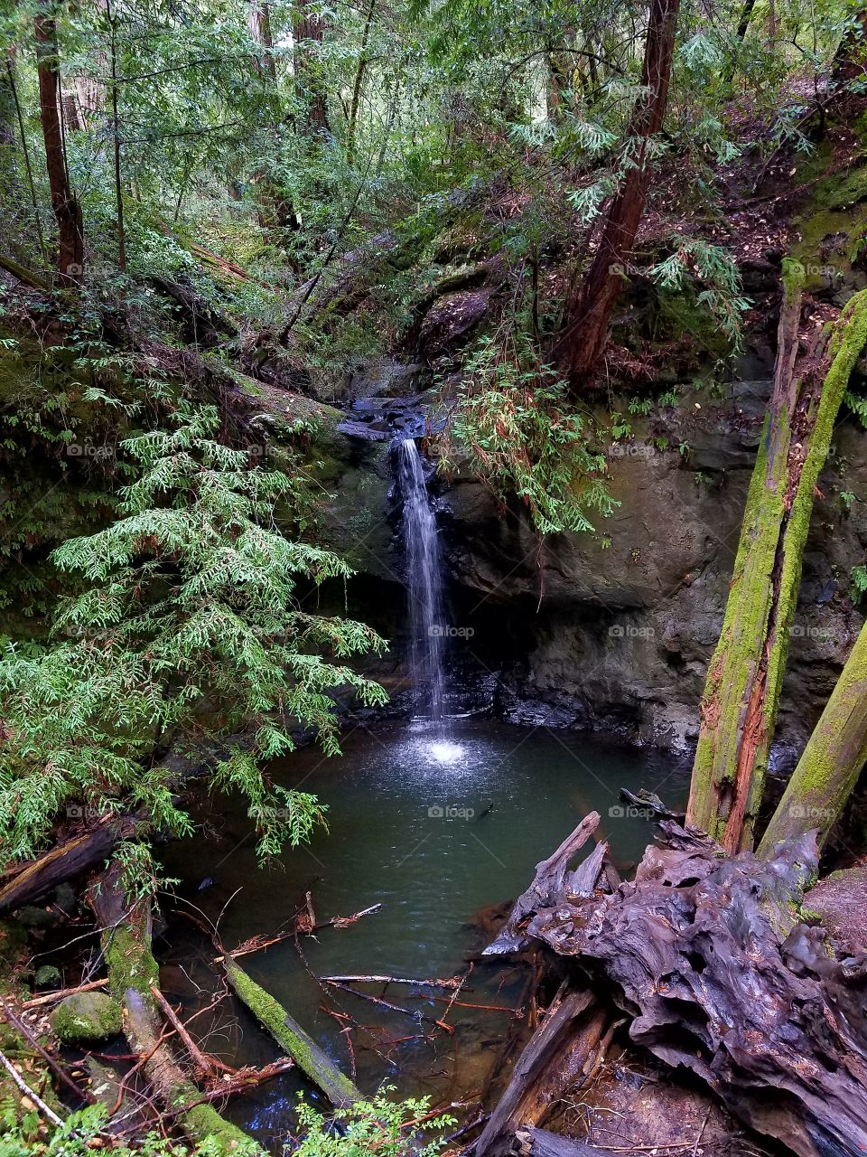 Big Basin waterfall