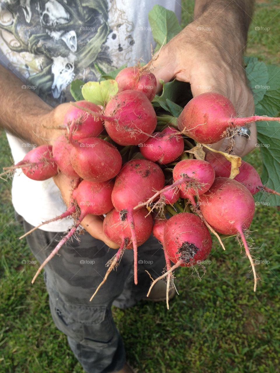 Garden fresh 