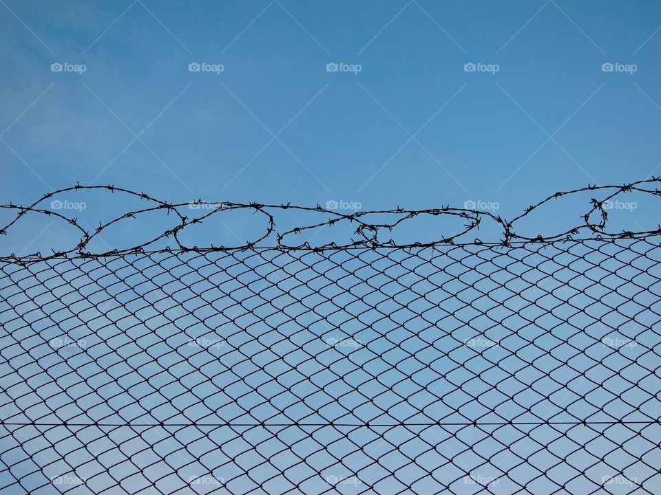 Barbed wire 