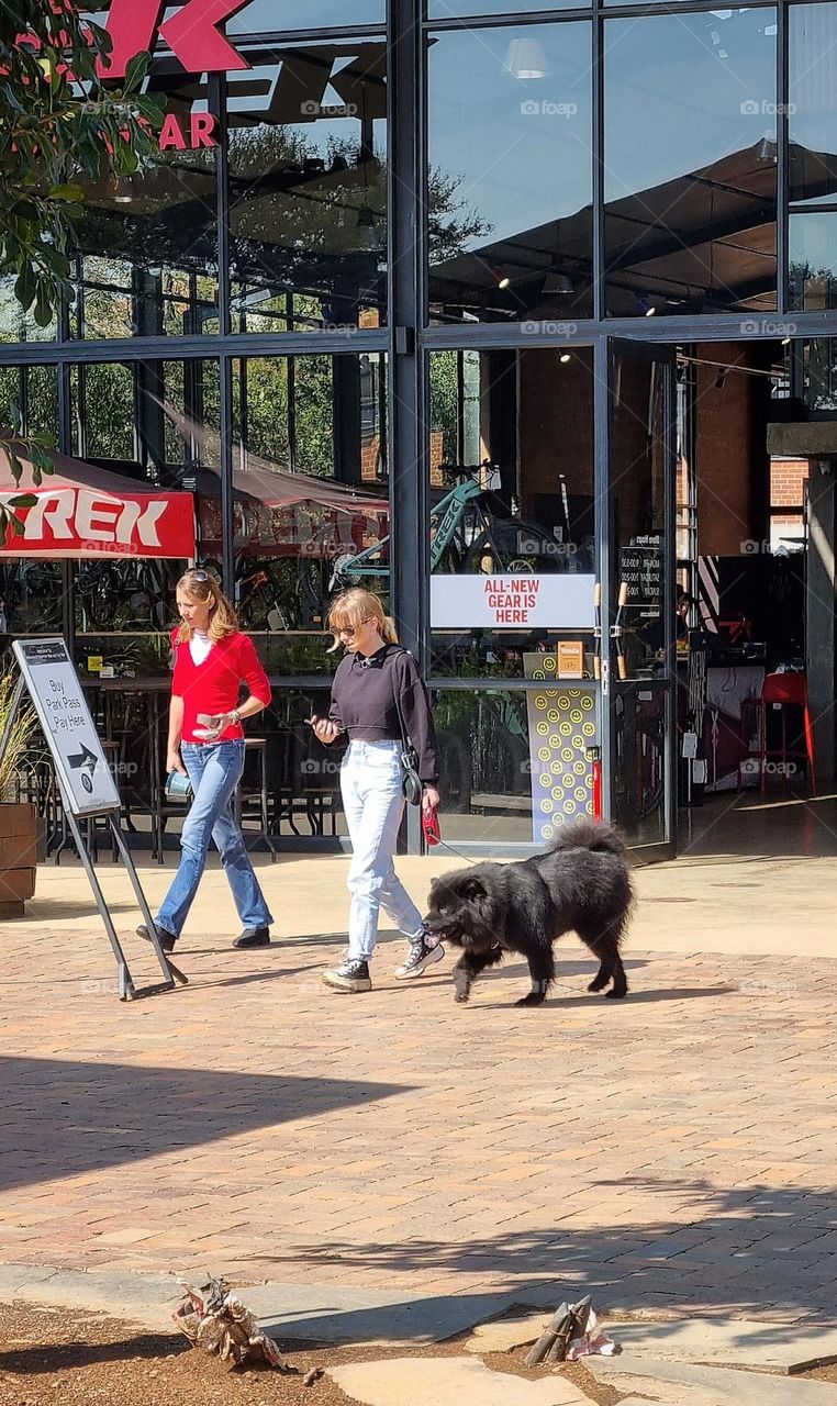 friends walking their beautiful dog.