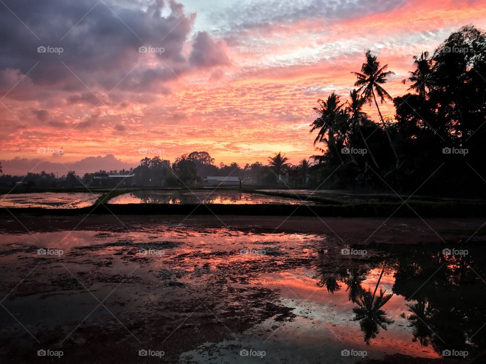 Sunset in Bali