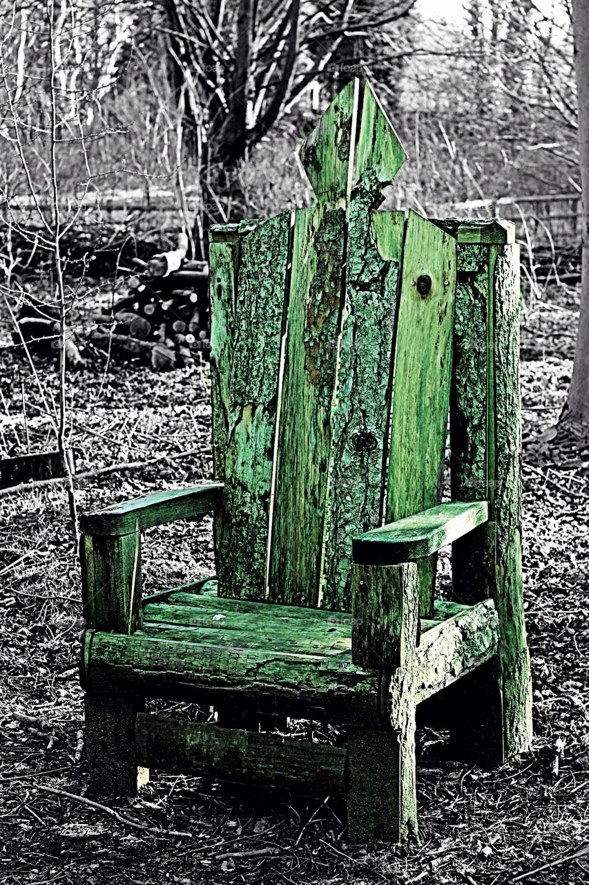 interest nature green tree by mojo26