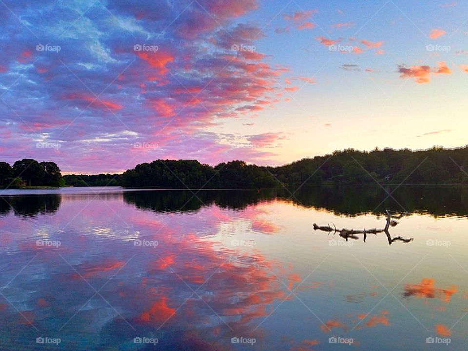 Pink sunset