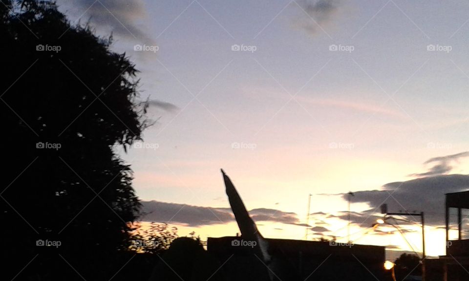 Sunset, No Person, Landscape, Dawn, Backlit