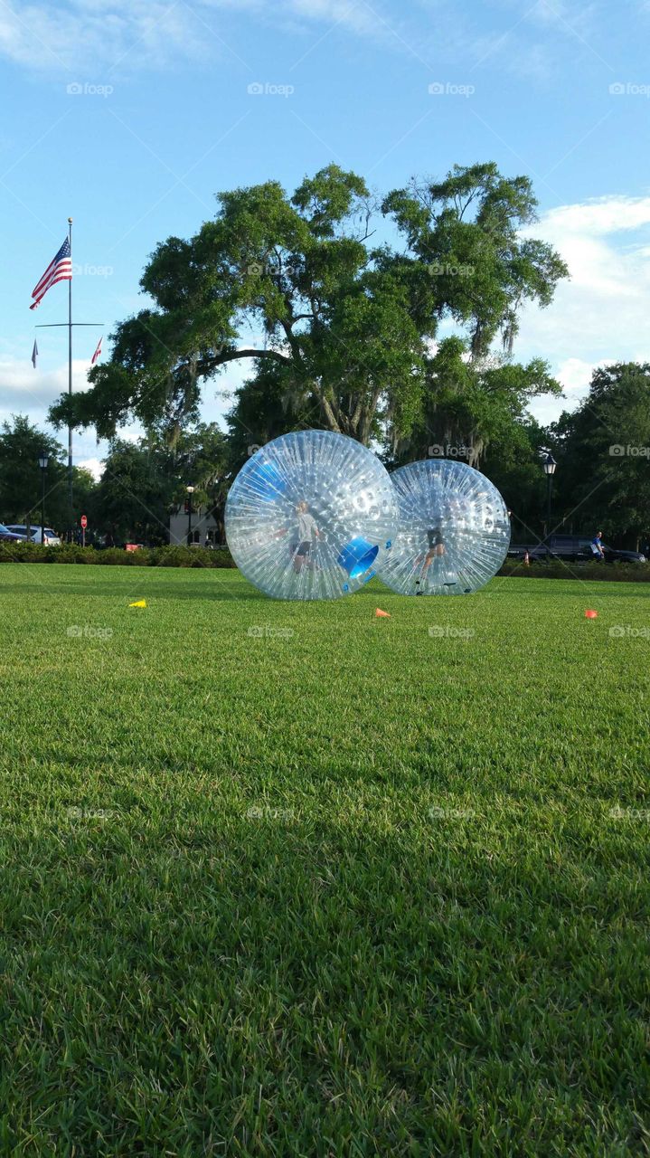 Life-sized hamster bubble ball race at college