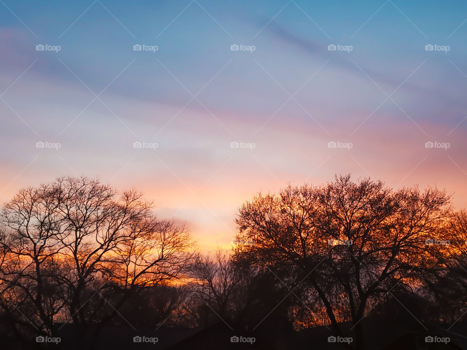 Gorgeous sunset creating a beautiful watercolor-like sky just behind trees and homes.