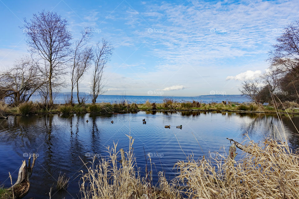 water, ocean, lake