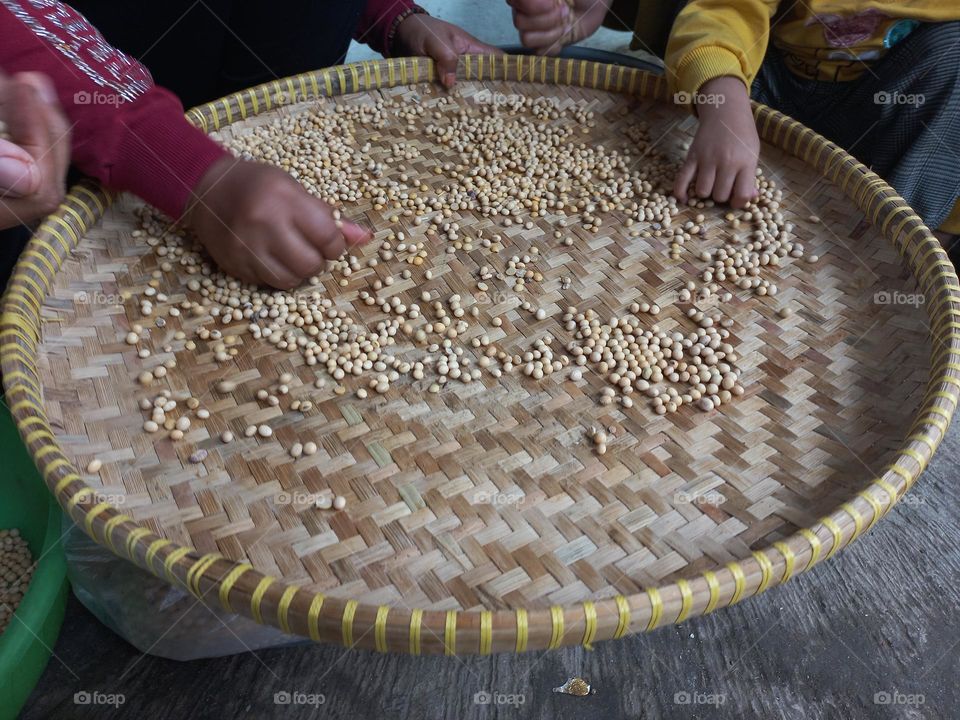 Soybean is a type of legume that is the basic ingredient of many foods from East Asia such as milk, soy sauce, tofu, and tempeh.