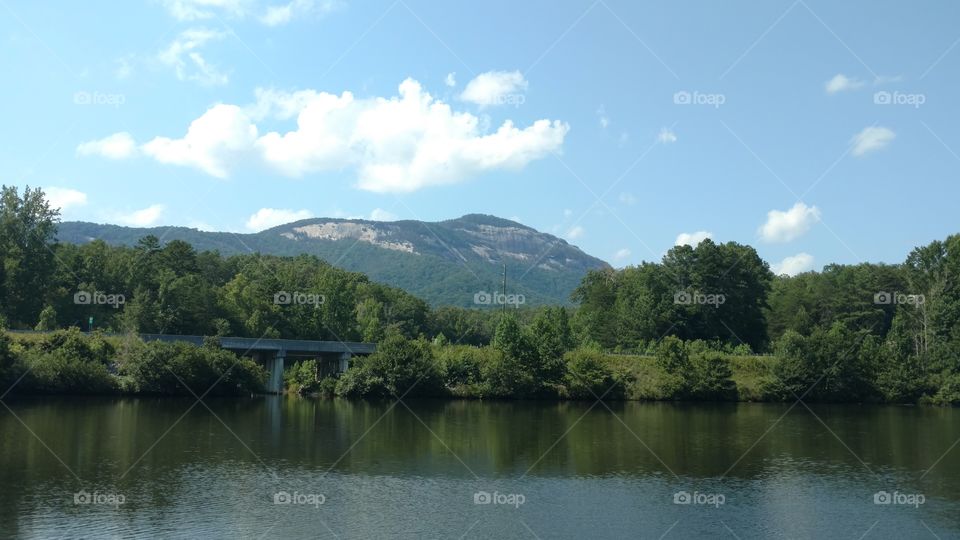 Water, Lake, Tree, Landscape, River