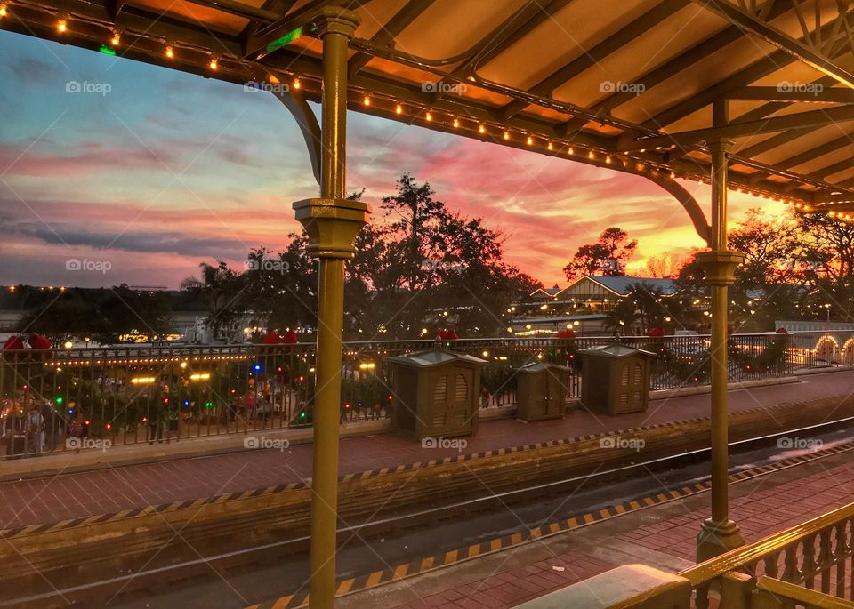 Golden Hour at Disney
