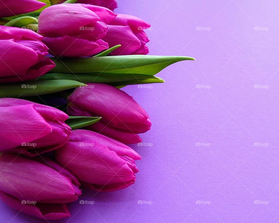 Bright spring🌷🌷 Tulips🌷🌷 Flower mood🌷🌷