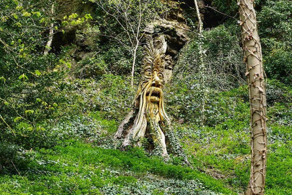 Spooky looking tree carving 