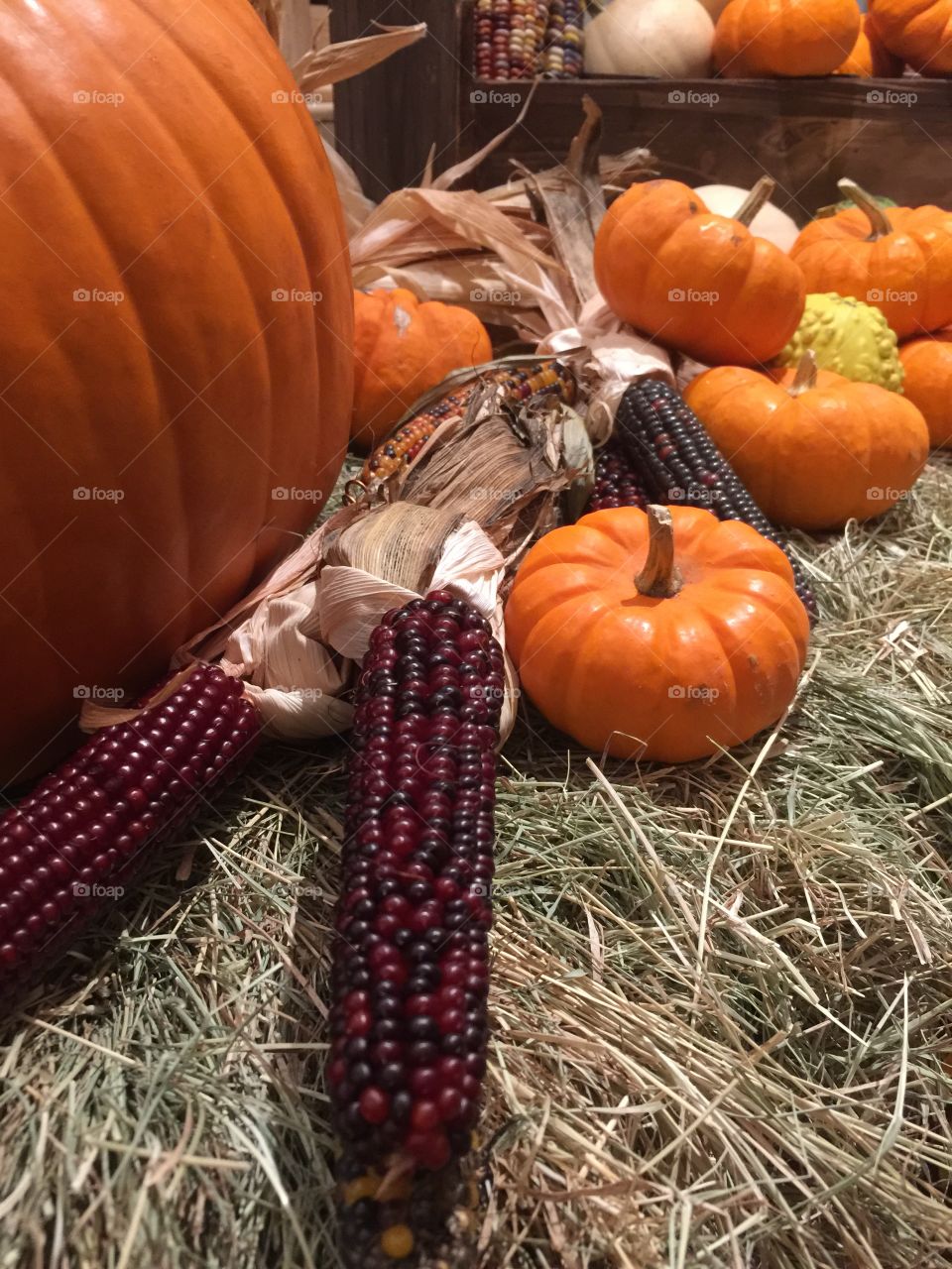 Pumpkins display in store